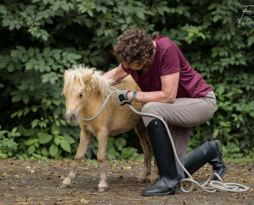 Kate Farmer - Thinking Horse